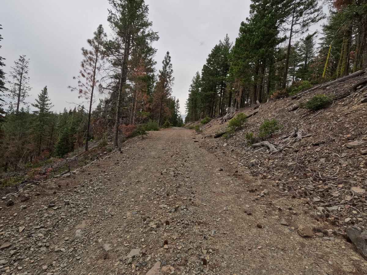 Cooper Meadow Spur A - FS 40N67A photo 6