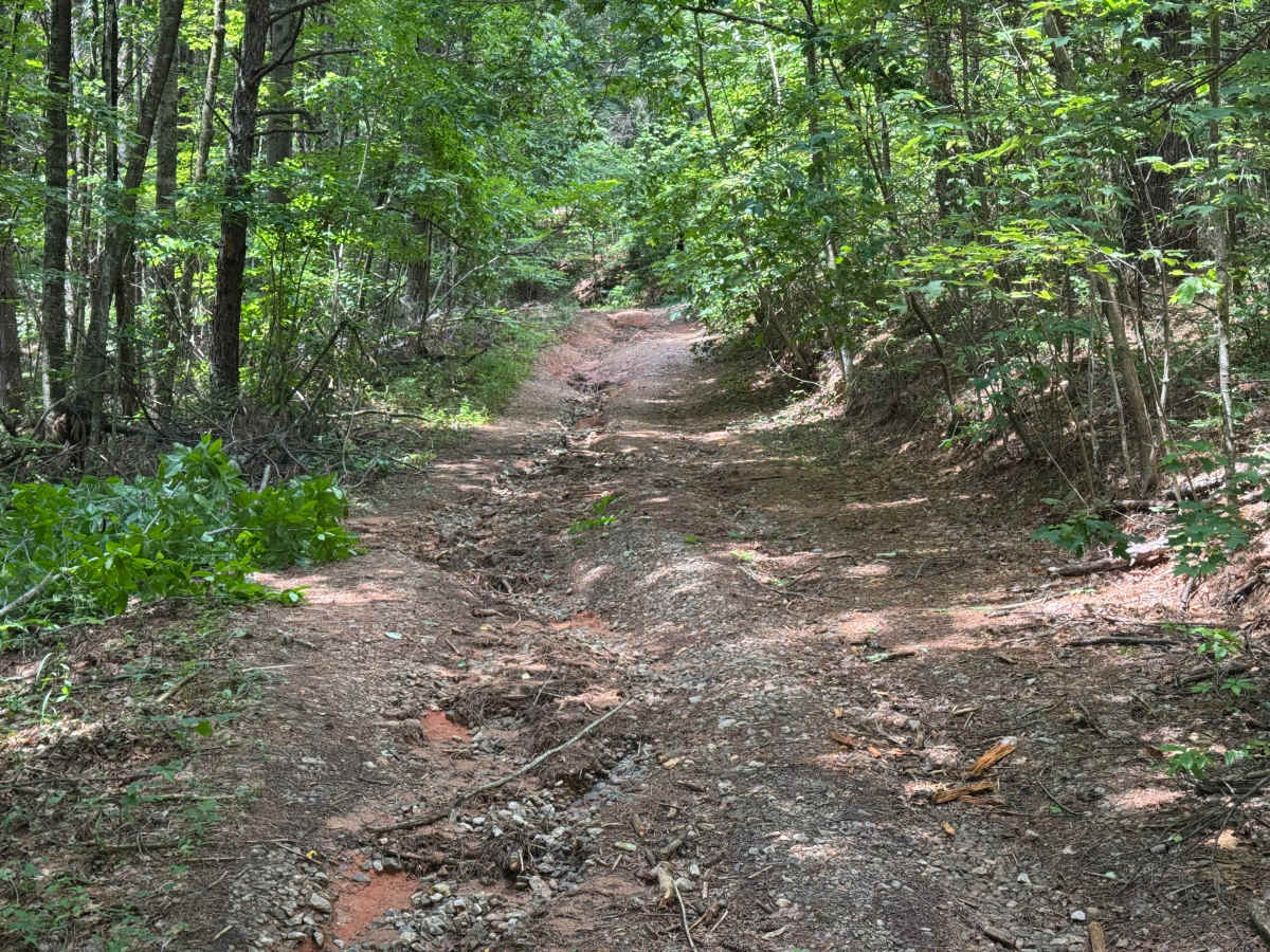 Pigpen Gap - FS 417 photo 5