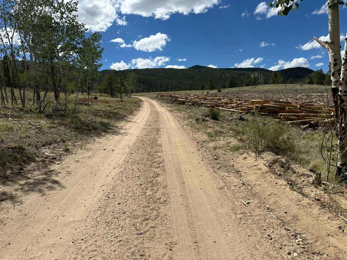 Adamans Creek Road - FS 850 photo 4