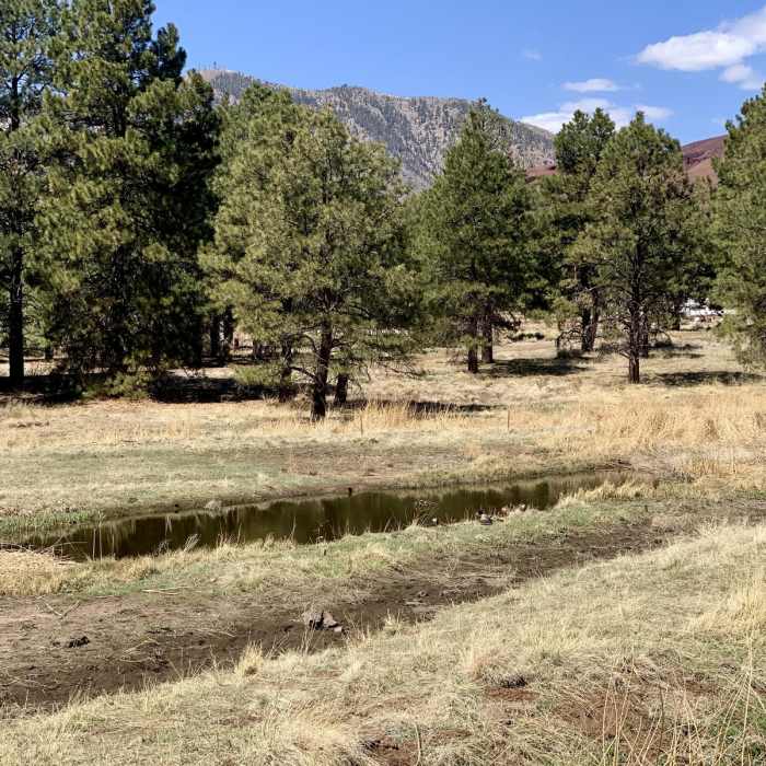 Near Picture Canyon Waterfall Loop