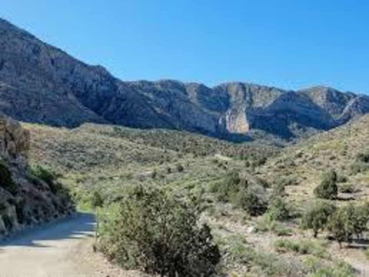 Cabin Canyon trail photo