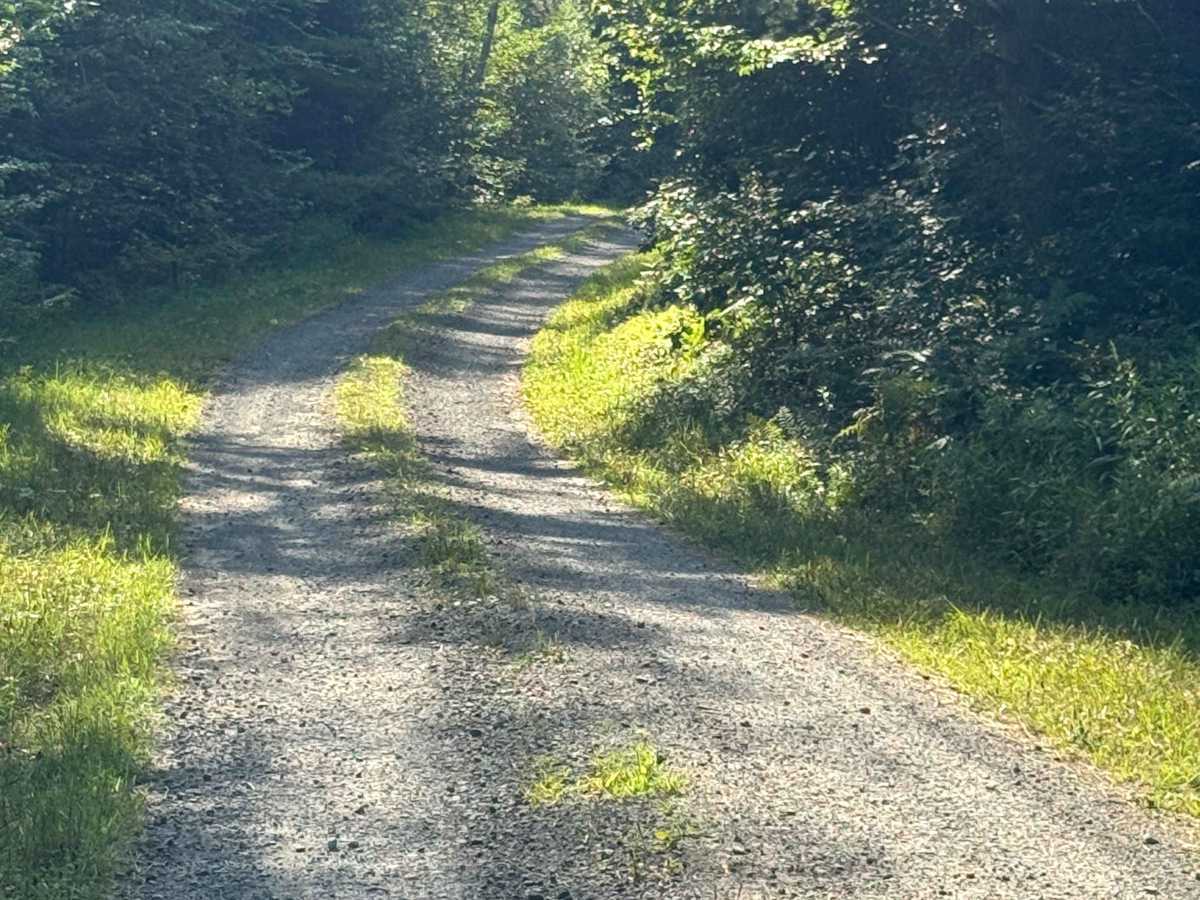 Fisher Mine Road photo 2