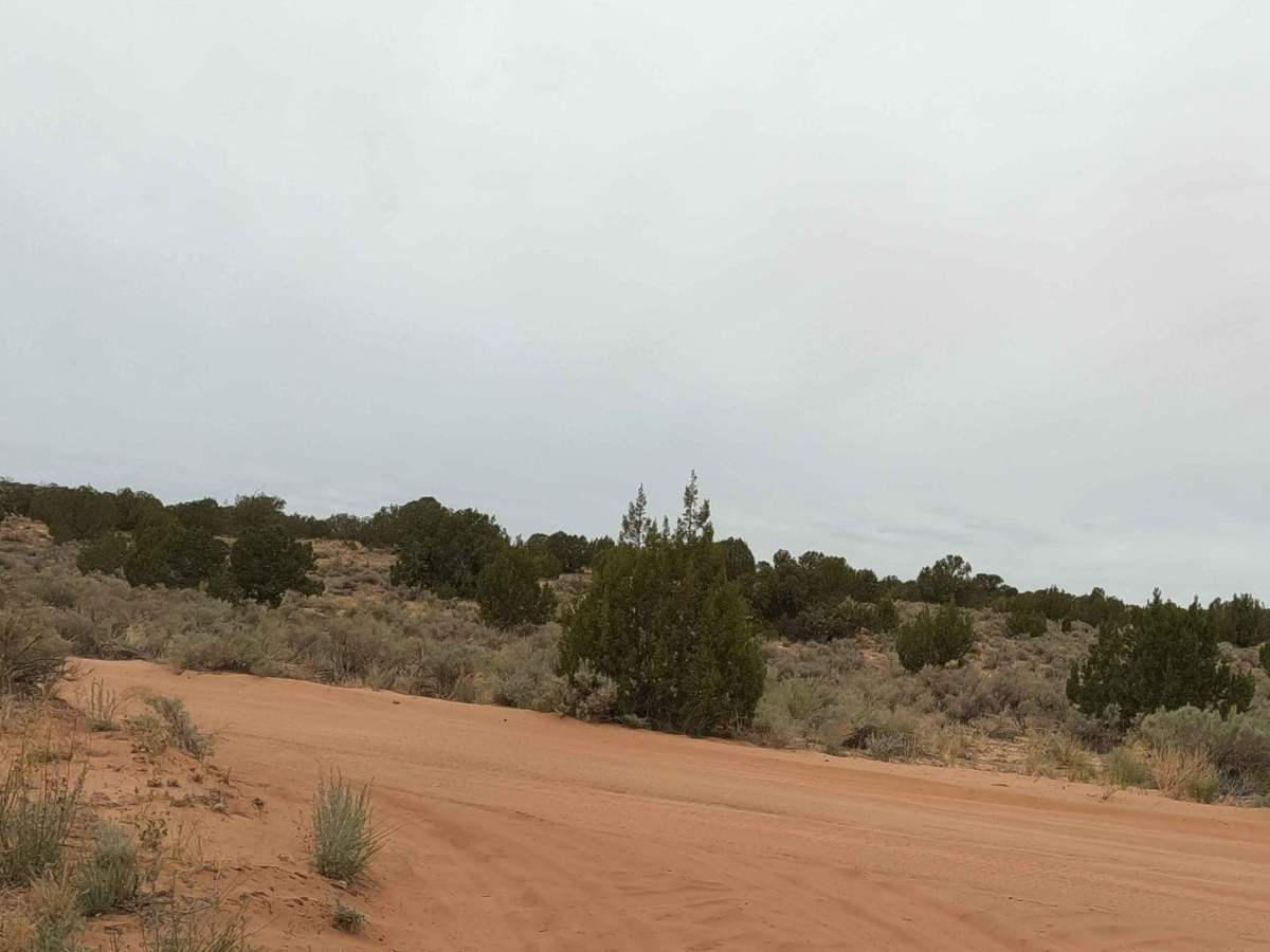 NM-1323 photo 4
