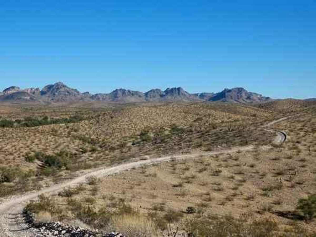 Planet Ranch to Alamo Road photo 3