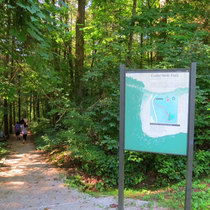 Near Cedar Sink Trail Near Cedar Sink Trail