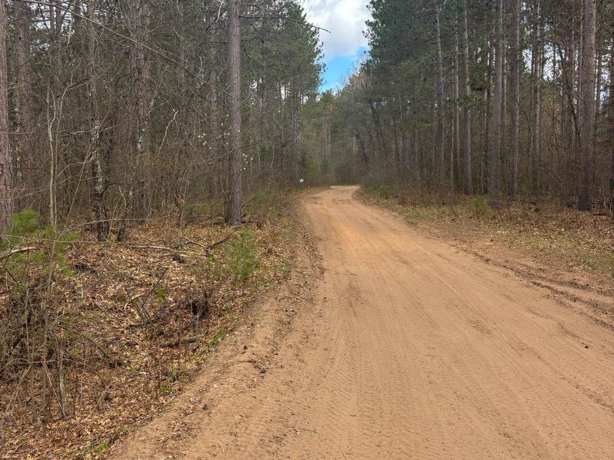 Nauke Road Trail photo 5