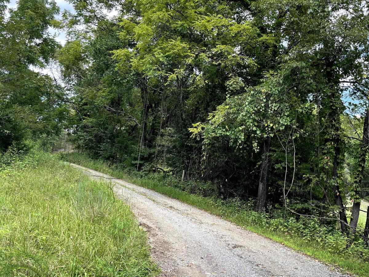 Hostetter Flats trail photo
