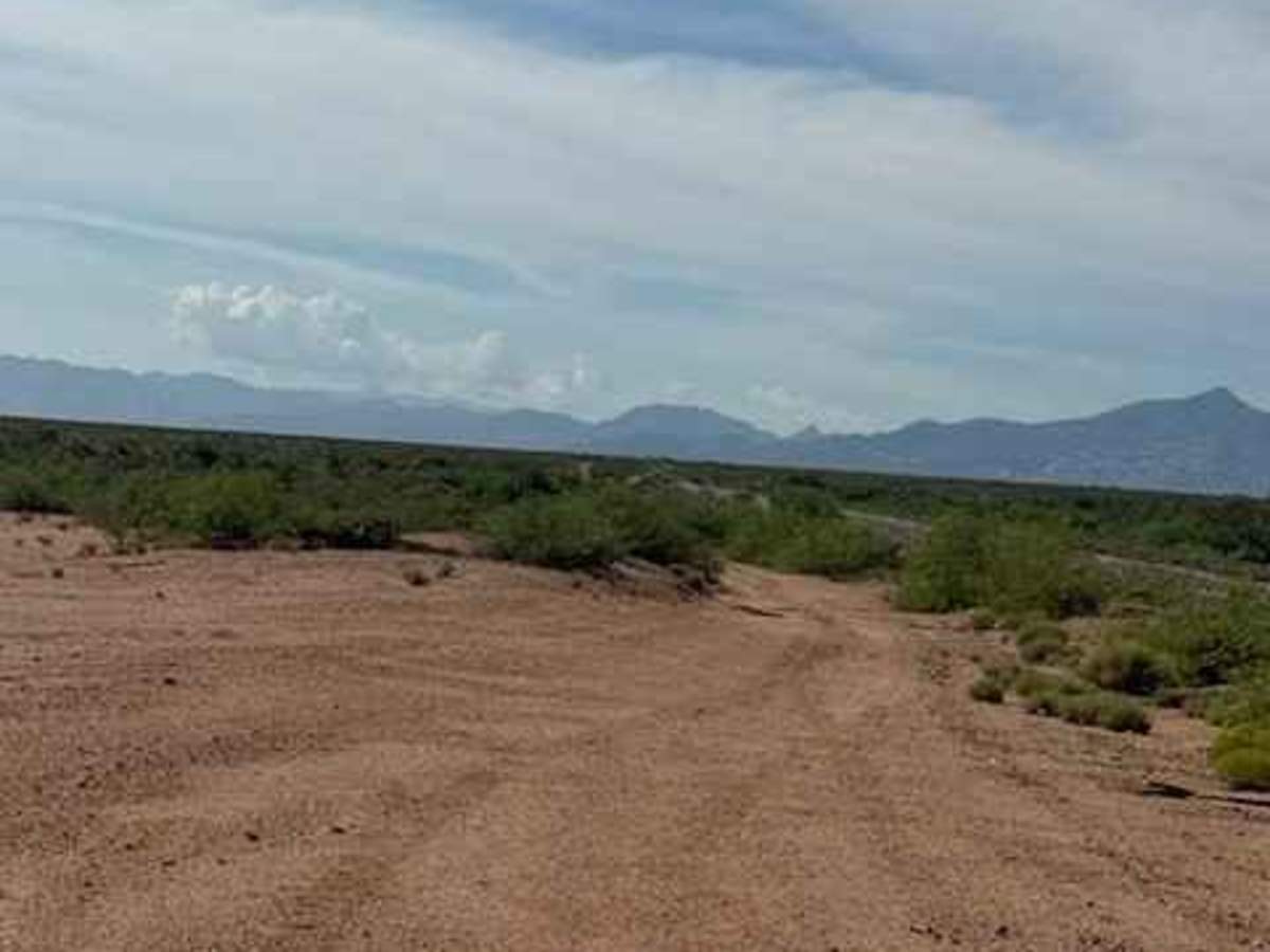 BLM SS1016 photo 2