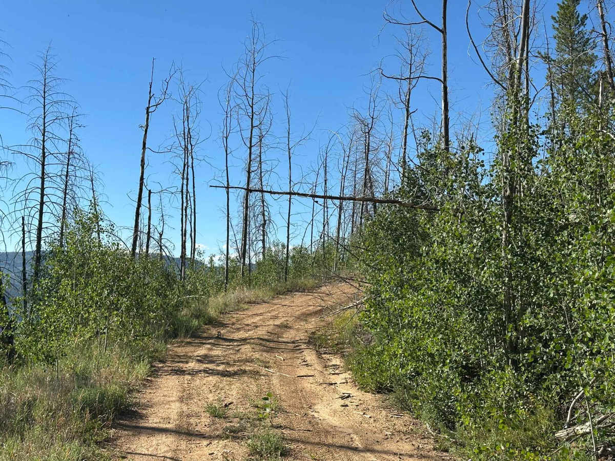 BLM Route 2768 photo 5
