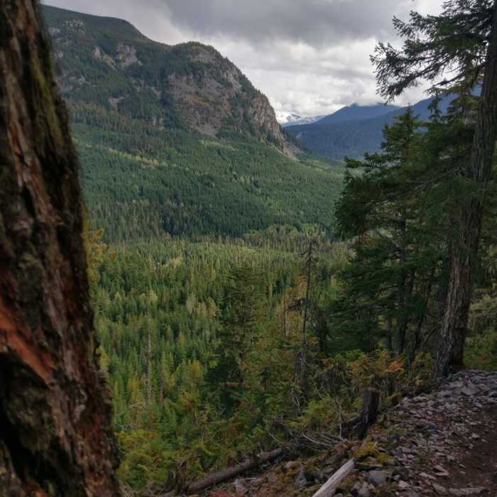 Near Crater Rim Trail