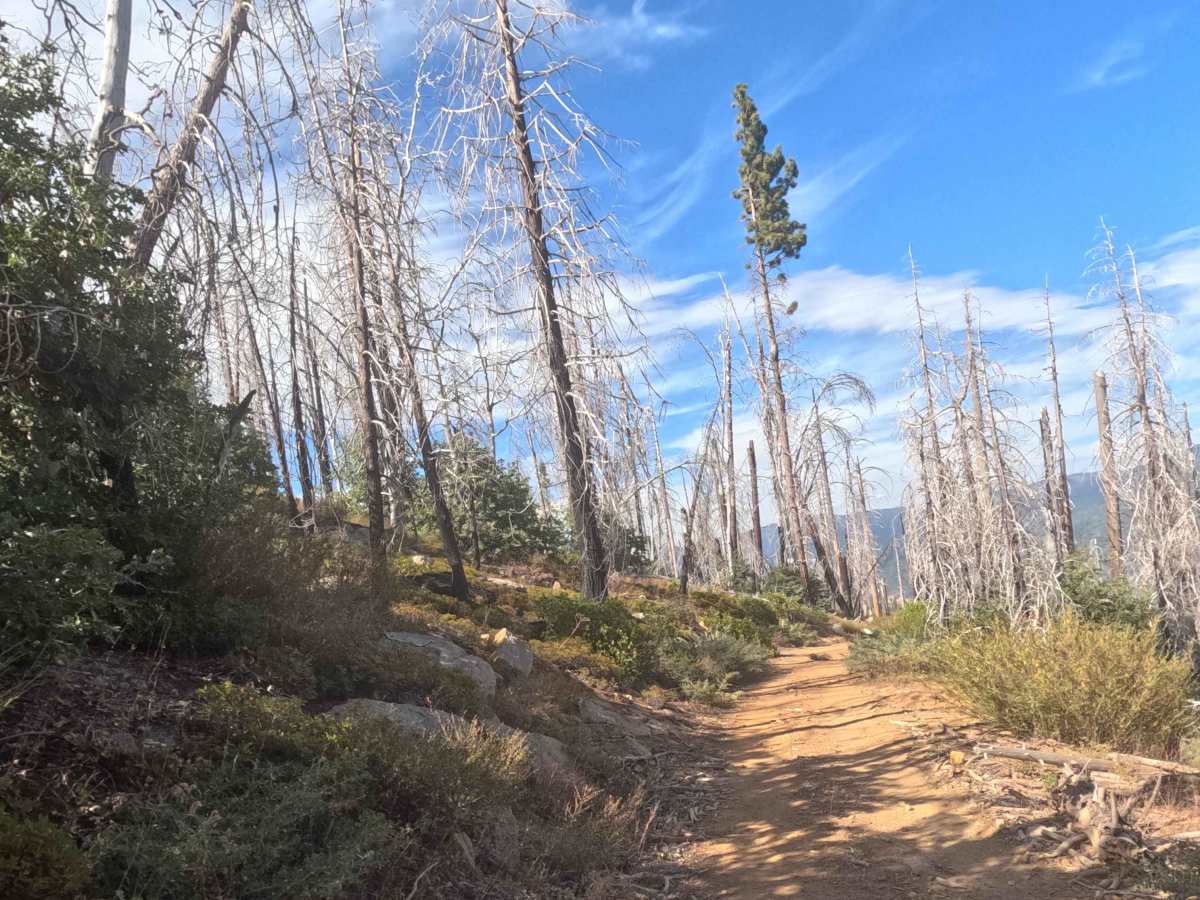 Ten Mile Grade C Spur - FS 4S004C photo 4