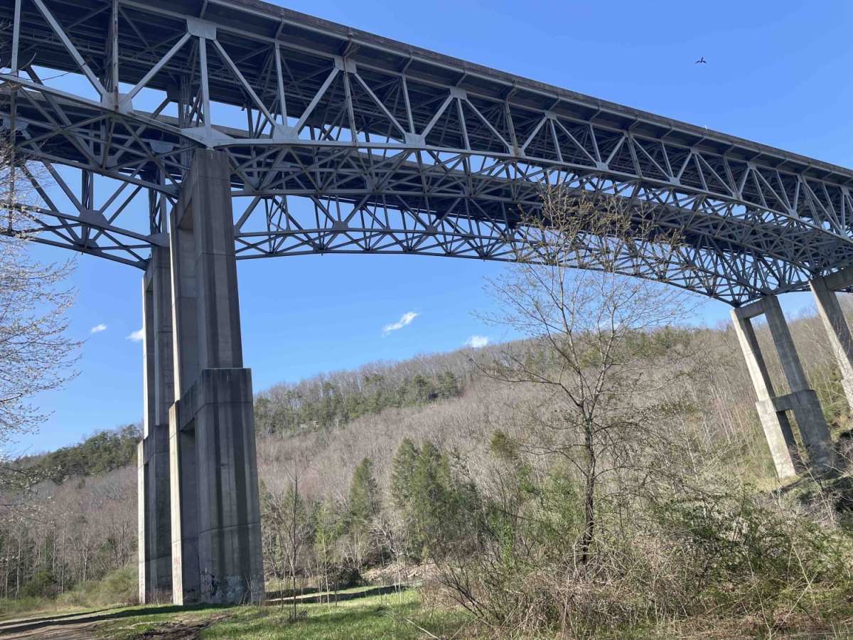 Meadow & Gauley Rivers Access Trail trail photo