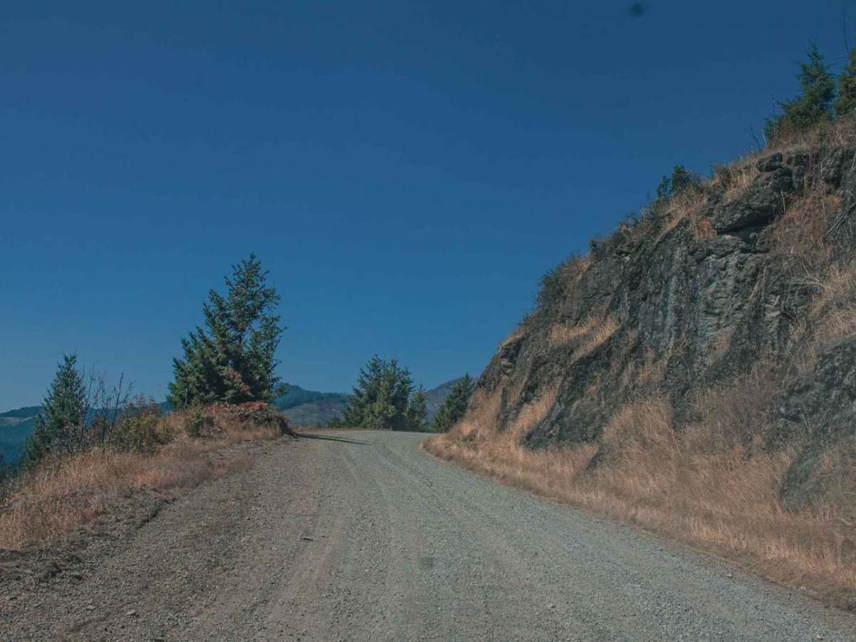 Lookout Mountain trail photo