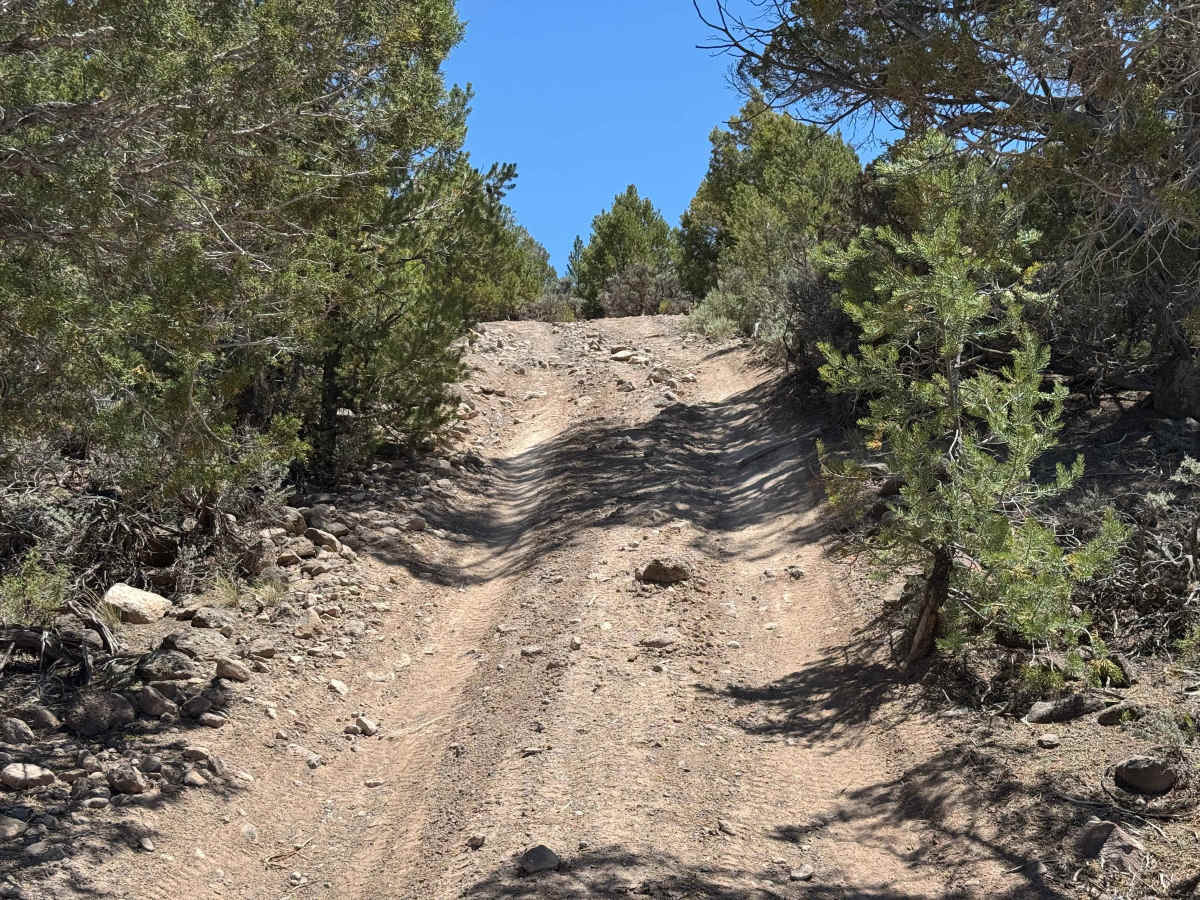 BLM 8474 trail photo