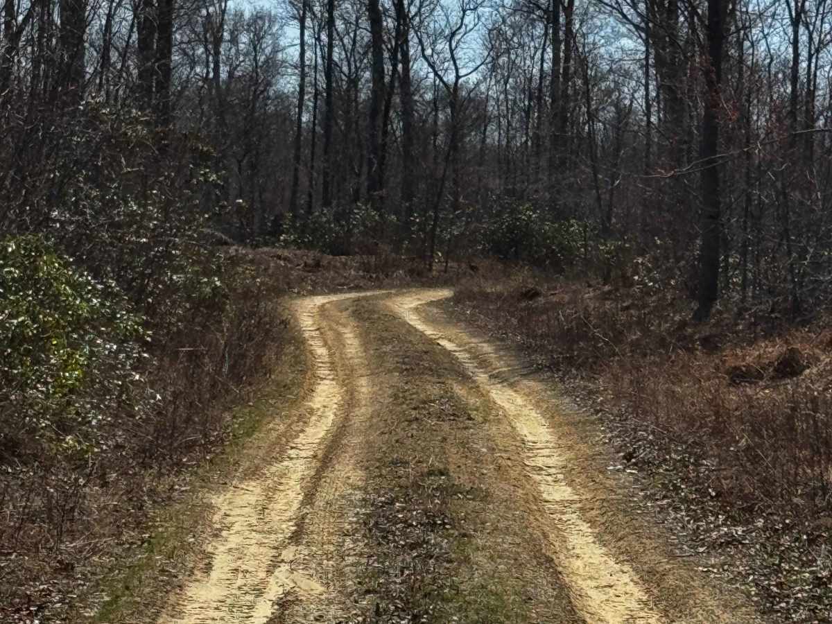Laurel Run Trail photo 4