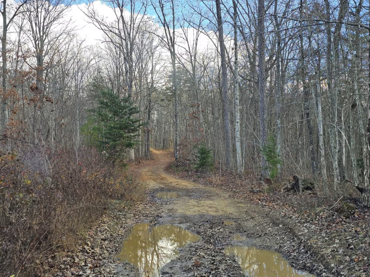 Railey Road photo 3