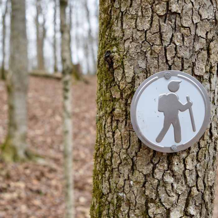 Near Montgomery Bell Trail Near Montgomery Bell Trail