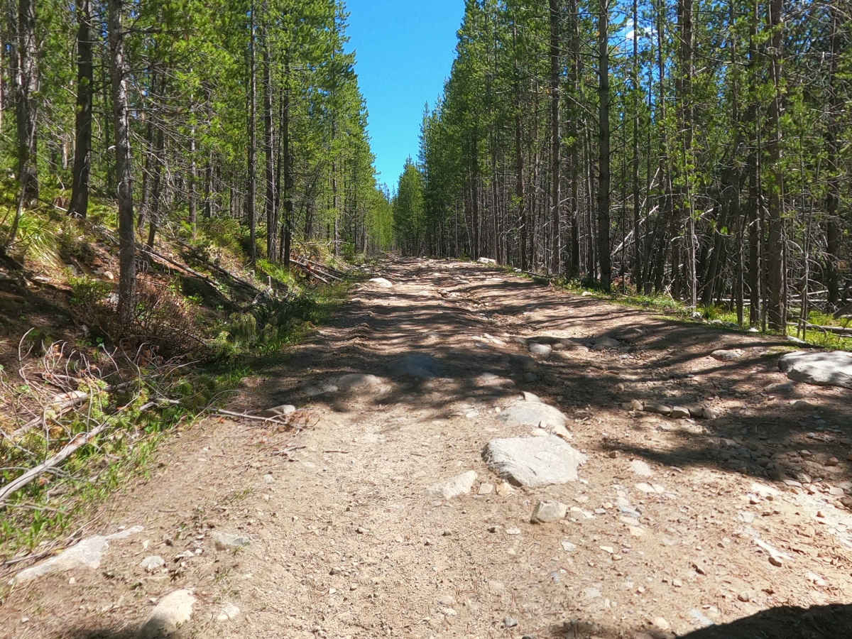Warm Springs Creek Road 170 photo 2