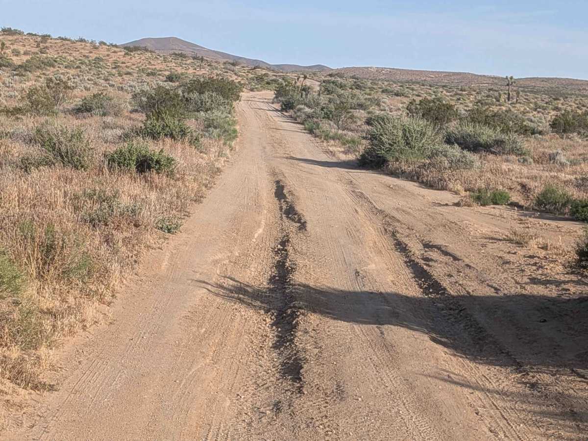 Old Dutch Cleanser Mine - BLM DP462 photo 3