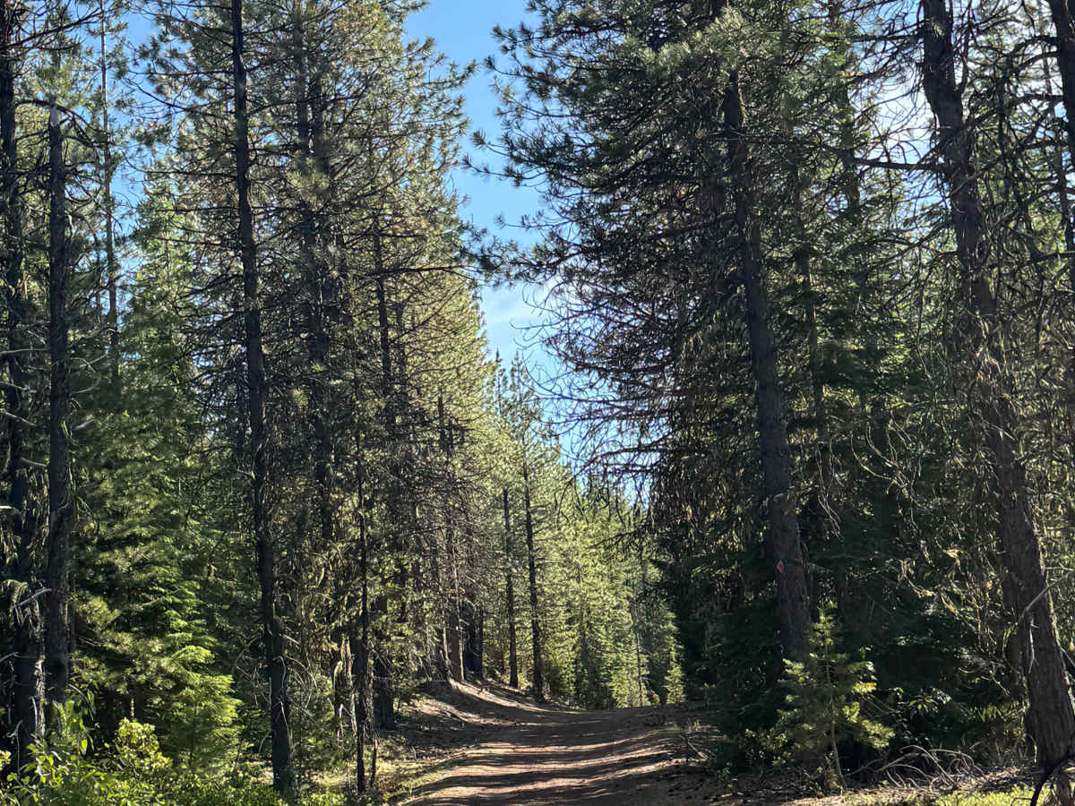 Meadow Lake - FS 2076-900 photo 3