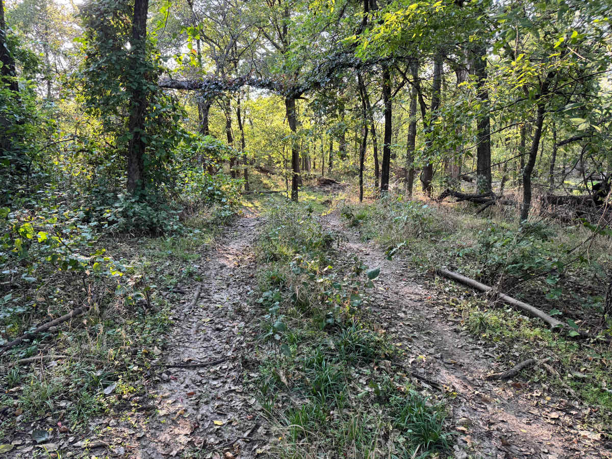 Spool'n Trail photo 3