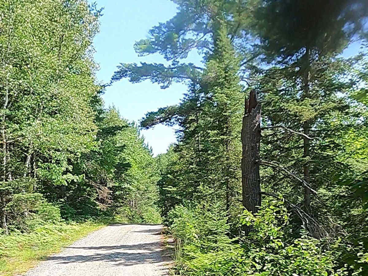 North Nestoria Road trail photo