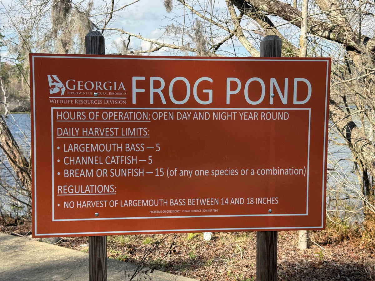 Frog Pond Road photo 6