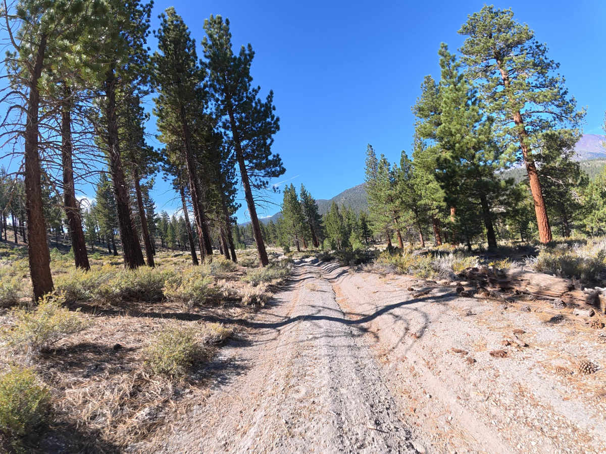 FS 2S120 trail photo