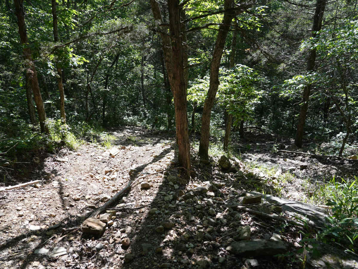 Bickel's Shitty Hill photo 6