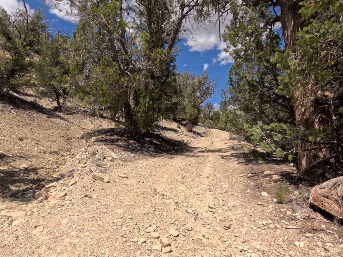BLM 46 photo 2
