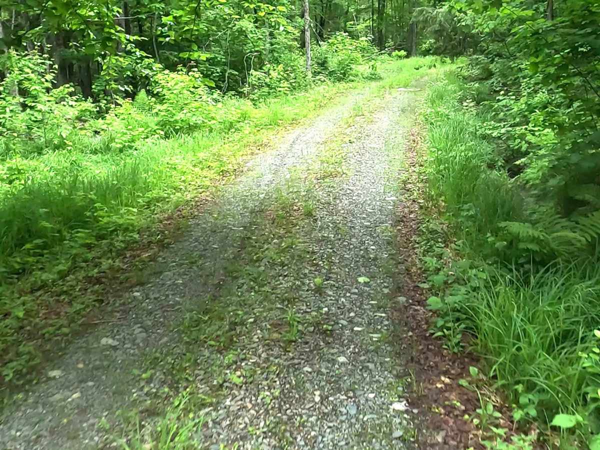 Wolf Lake Road Spur photo 5