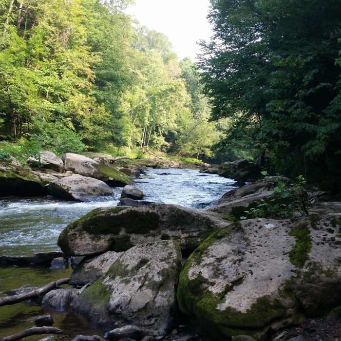 Slippery Rock Creek along the Alpha Pass Trail Near Alpha Pass Trail