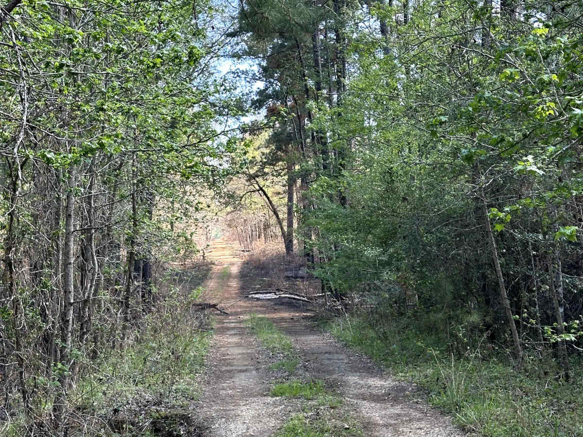 Knox - FS 516 photo 6