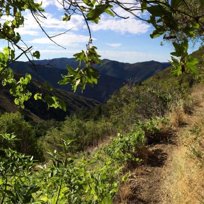 When you can take your eyes off the trail, Lower HJ has fantastic views that will have you forgetting you're not far from civilization. Near Santiago Peak via Holy Jim Trail