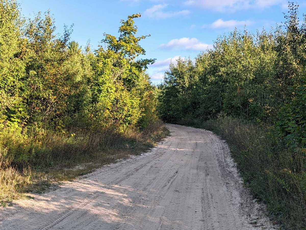 LP 767 trail photo