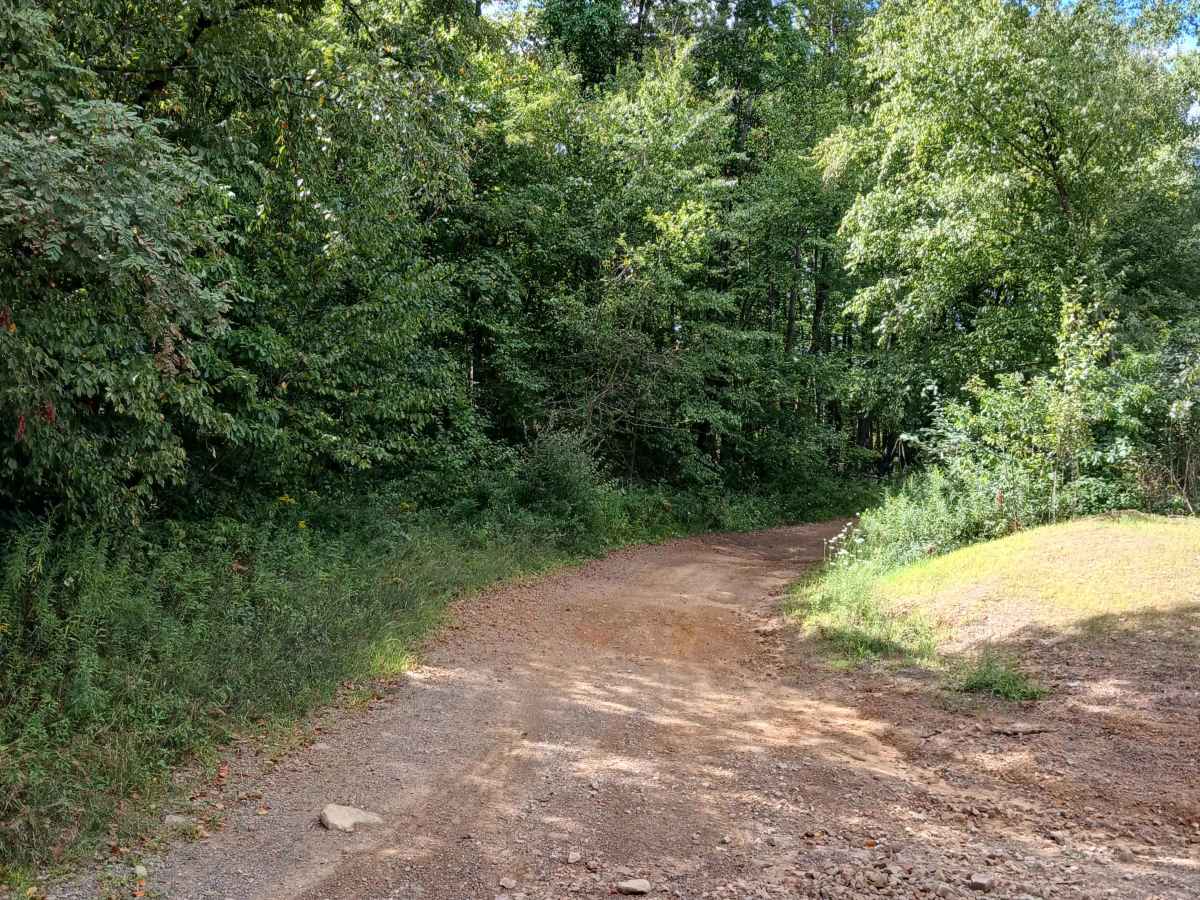 Radio Road - Rock Run Recreation Area photo 3