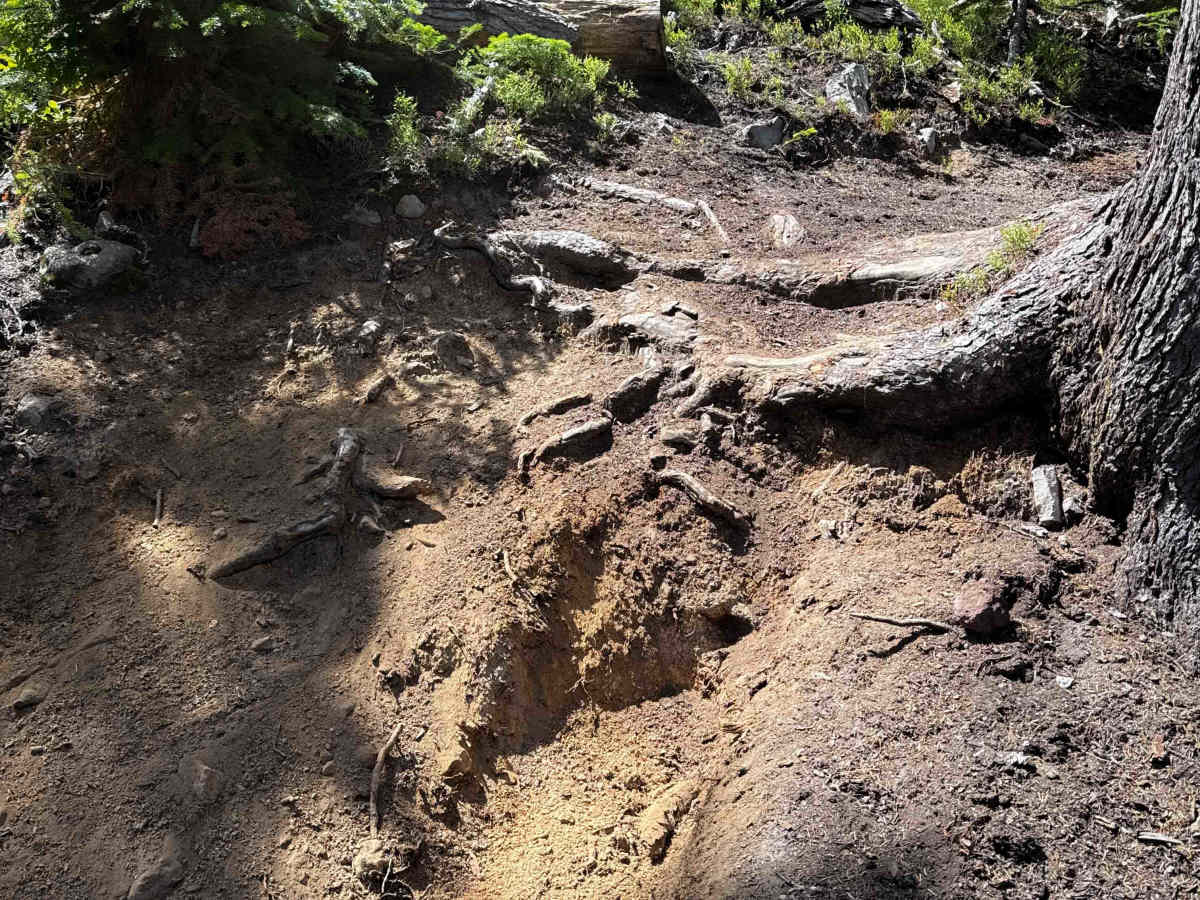 Sawtooth Trail  photo 6