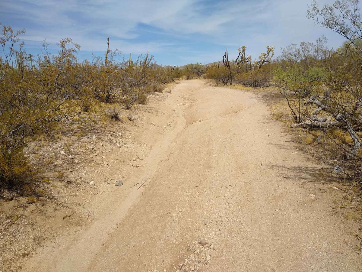 Robinson Loop photo 2