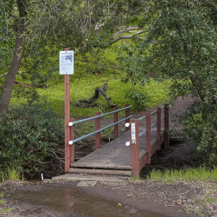 Near Pena Adobe Loop Trail