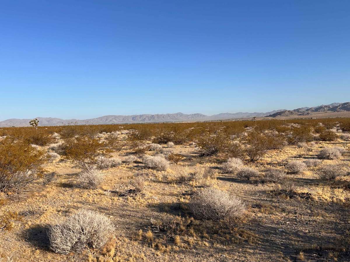 Quartz Flats photo 3