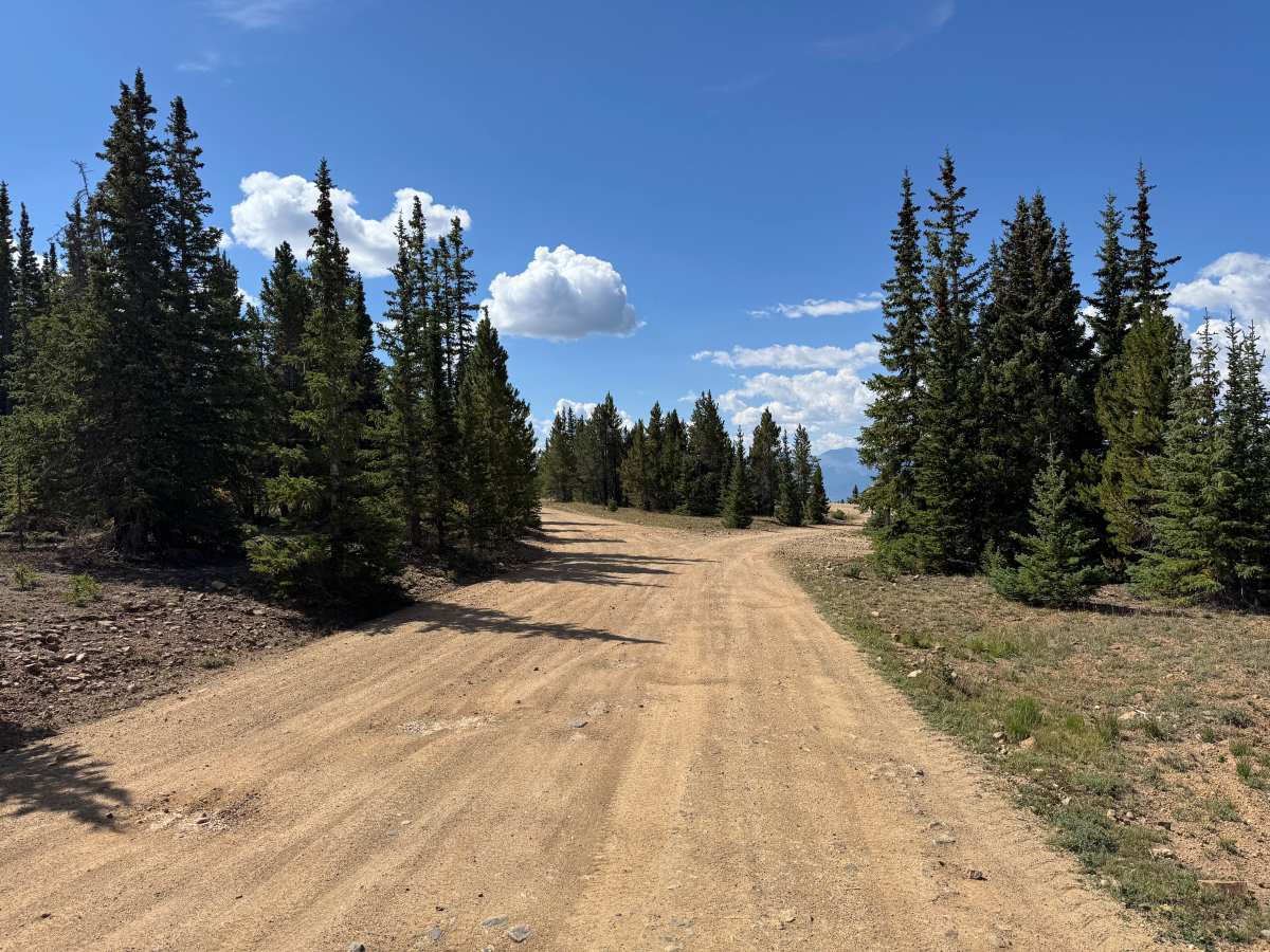 Lake County Road 1A photo 5