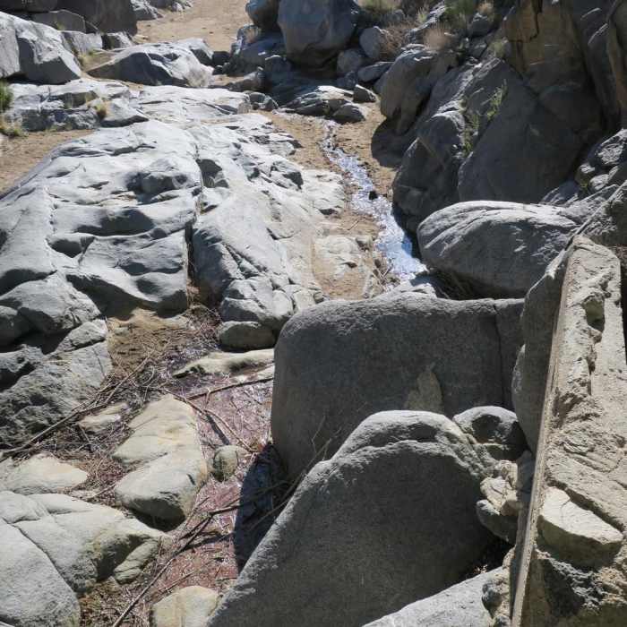 Near Rock Springs Loop