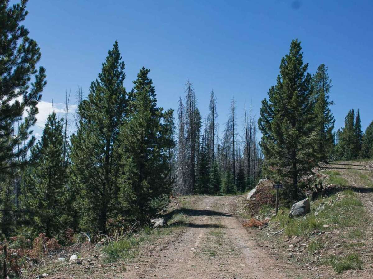 Bison Mountain photo 5