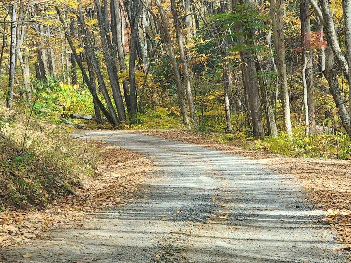 Little Irish Road - FS 311 photo 2