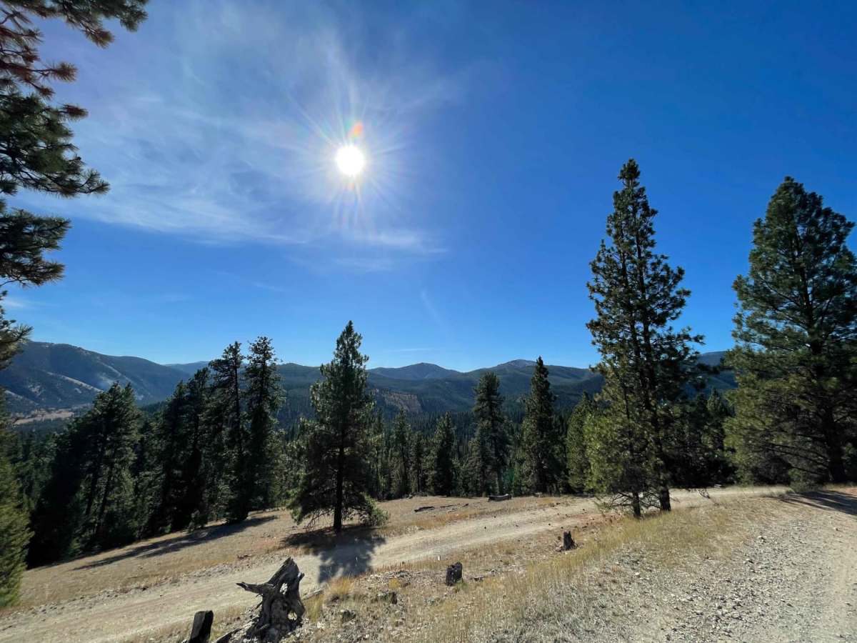 Coal Creek to Blue Joint trail photo