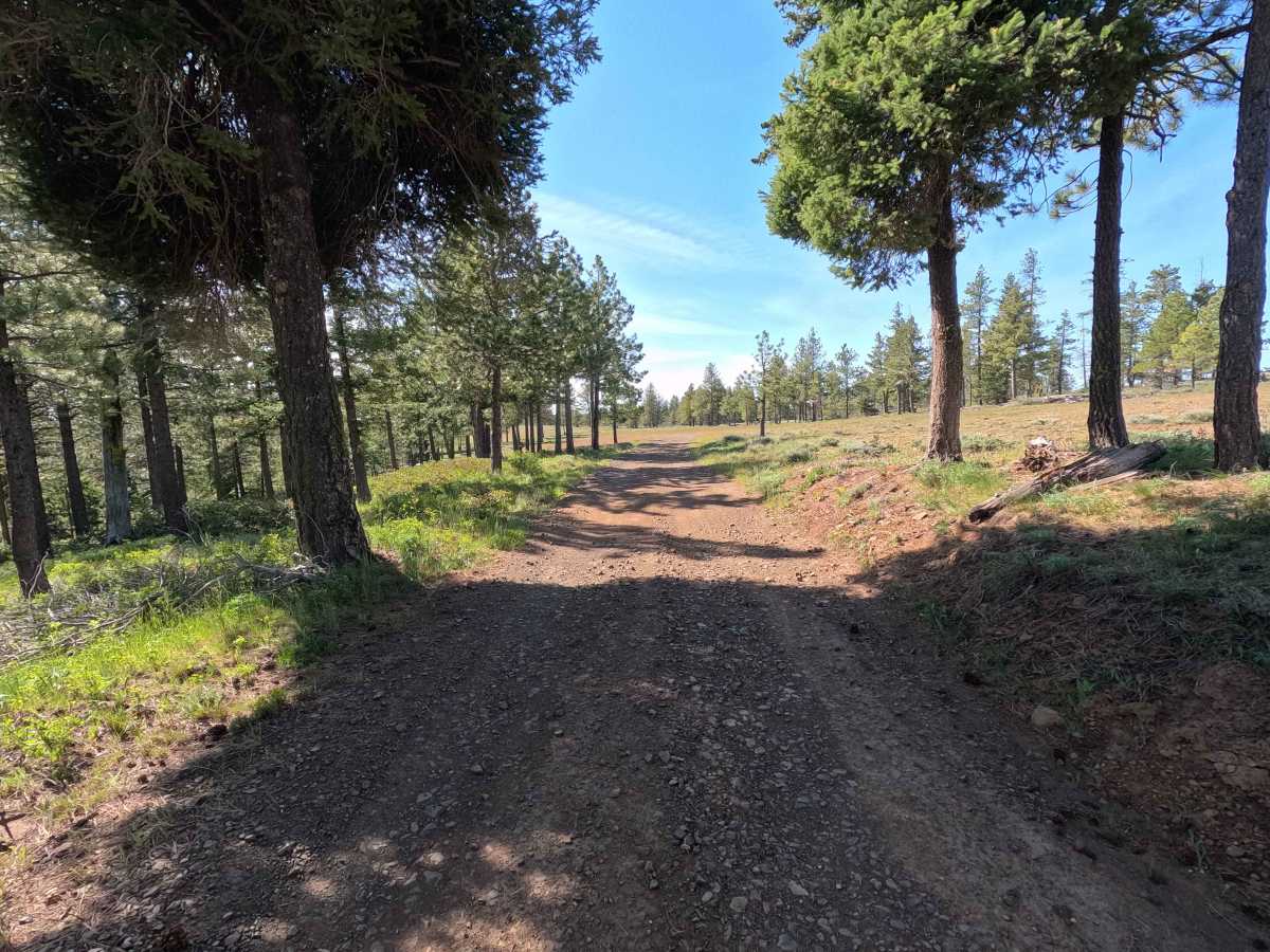 Brushy Road photo 3