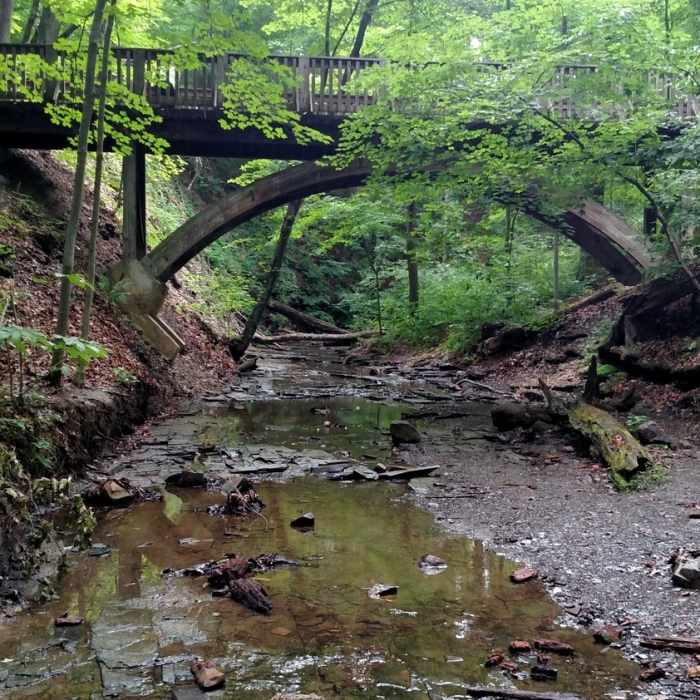 Some cool spots to offshoot from the trail to close to nature. Near Highbanks Metro Park