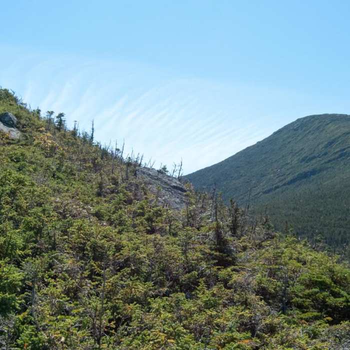 Near The MacIntyre Range Hike Near The MacIntyre Range Hike