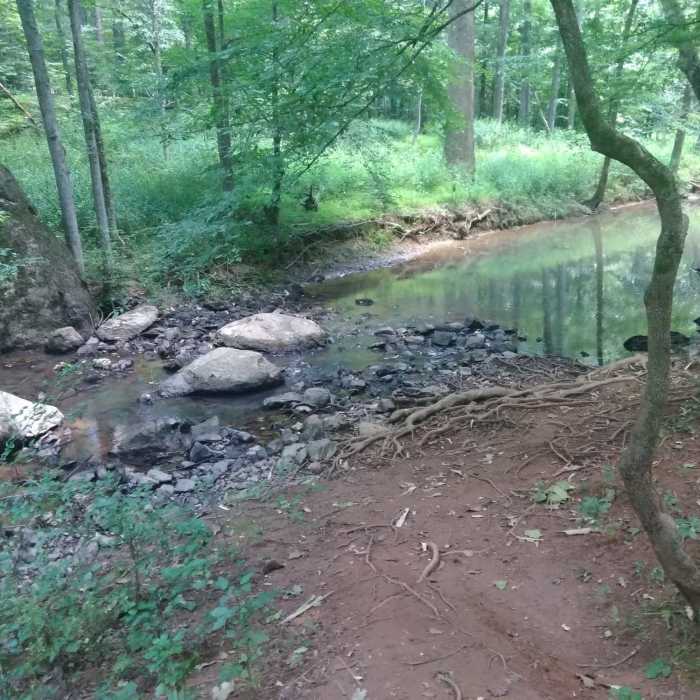 Near Brumley Nature Preserve North