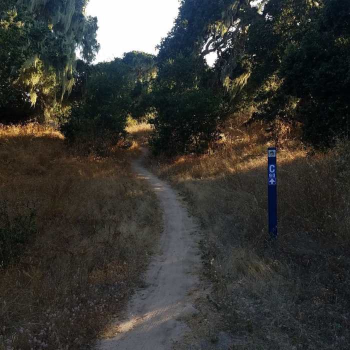 Near Jerry Smith Corridor